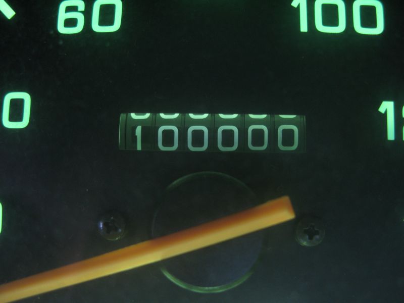 DinoEvo's 100k th. Birthday