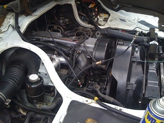 L300  ecxeed white 035re.jpg