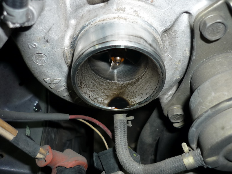 P1020398_resize.JPG