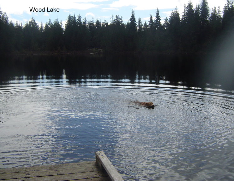 woodlake.jpg
