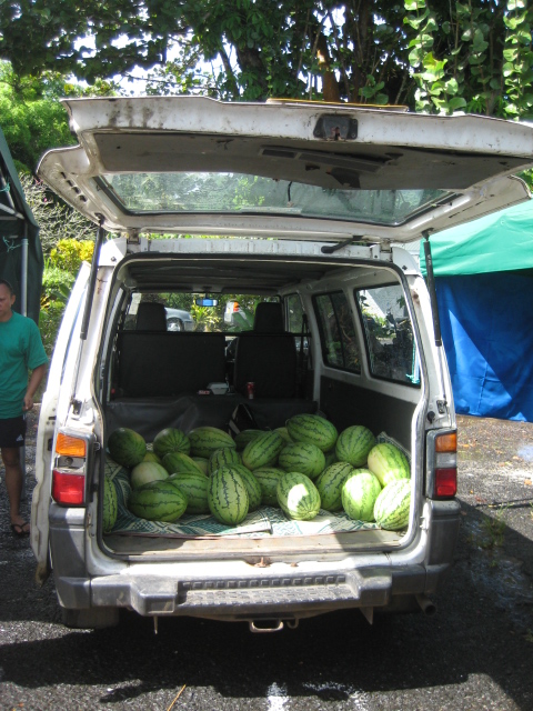 L300 Melon Machine
