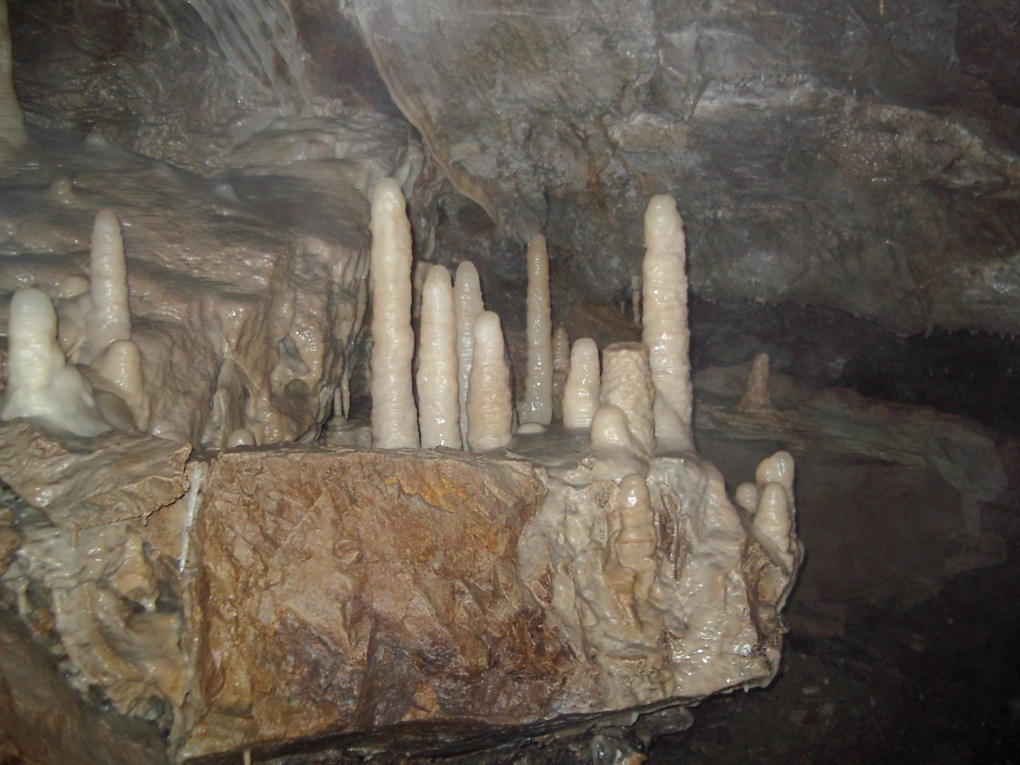 IMGP2145.JPG