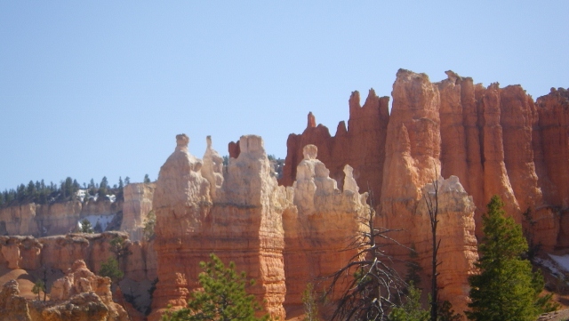 bryce