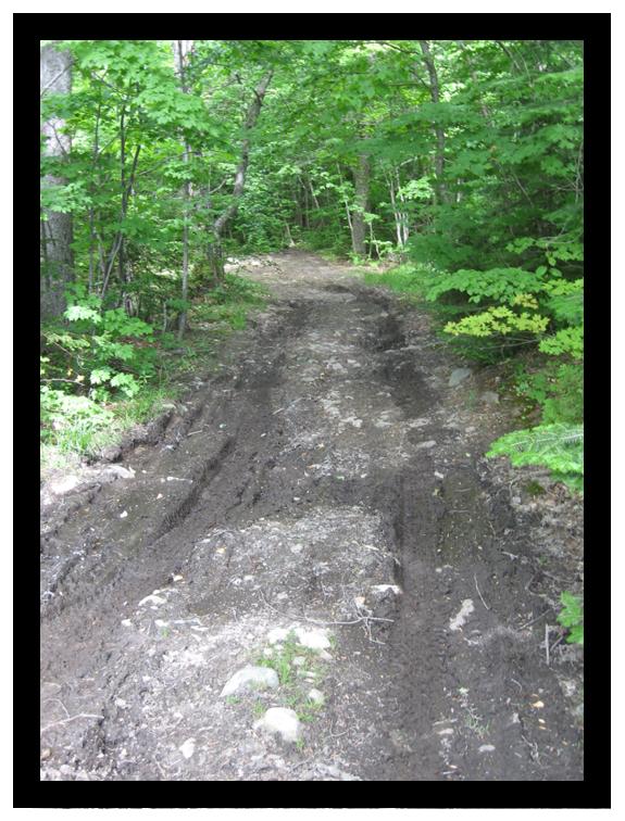 Road to Tupper Lake.
