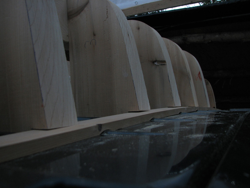 1st_mould_back_closeup.jpg
