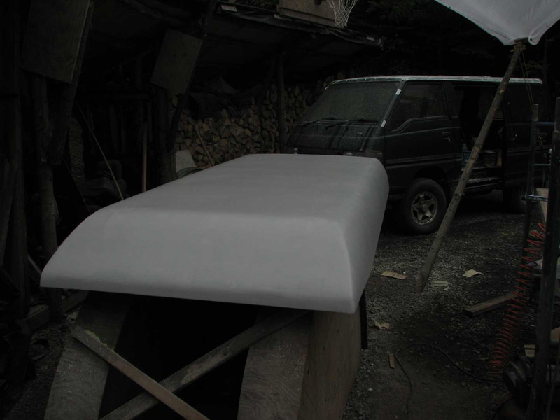 1st_mould_primer_sealer.jpg