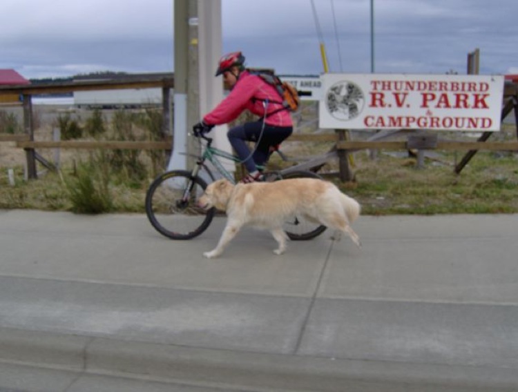jo and dog.jpg