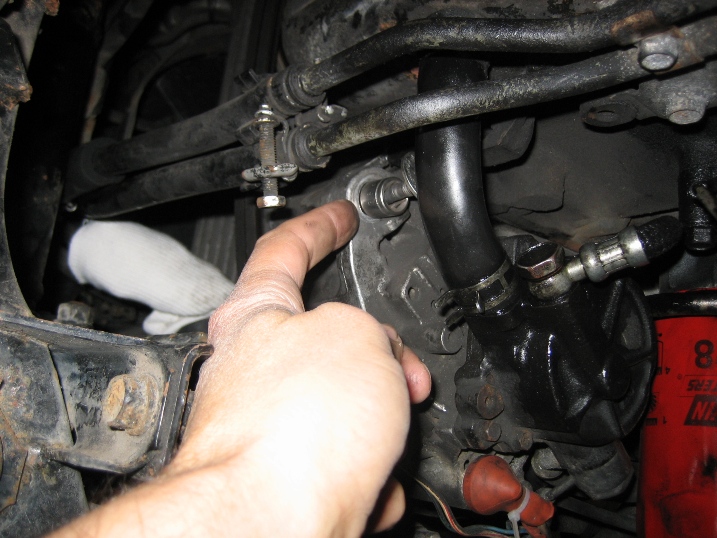 delica deer 004 resize2.jpg