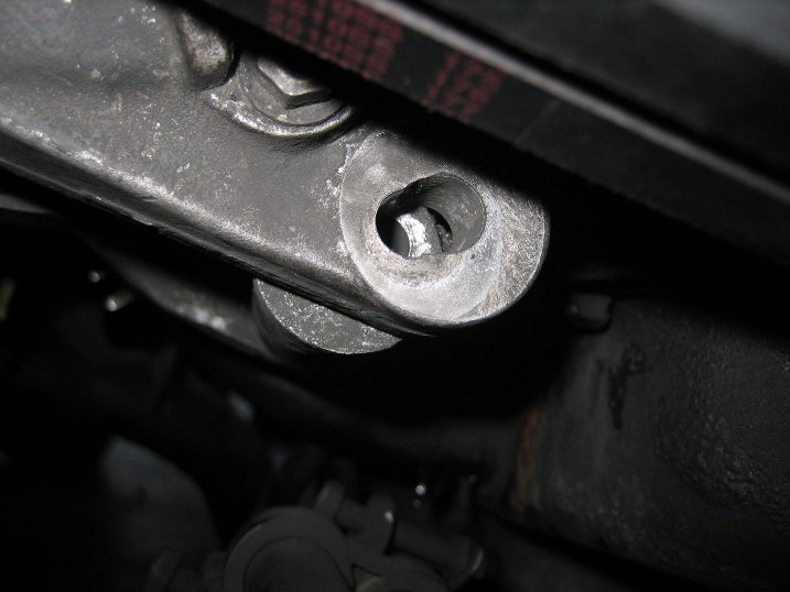 delica deer 006 resize2.jpg