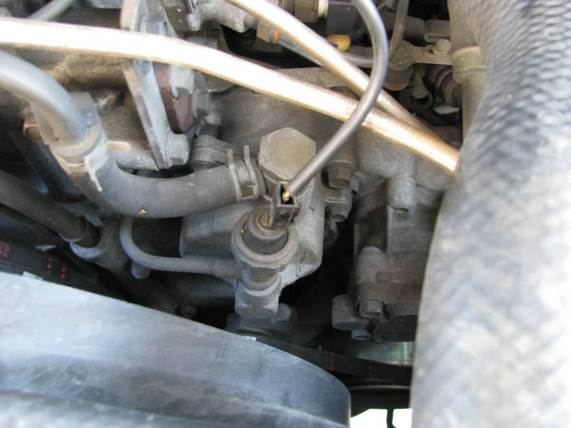 Optimized-IMG_7813.JPG