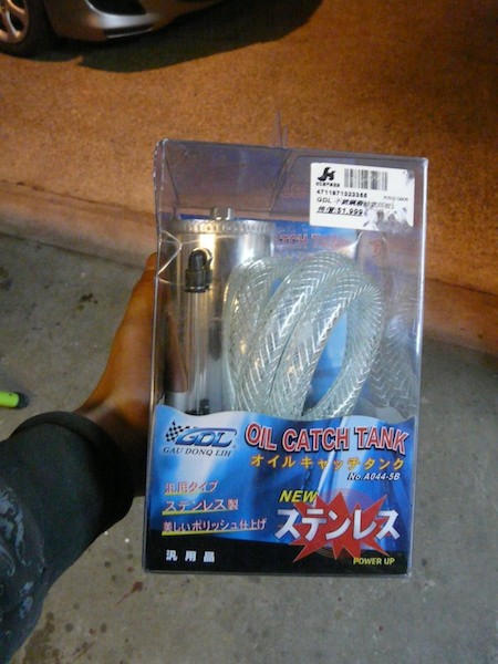 P1070011.jpg