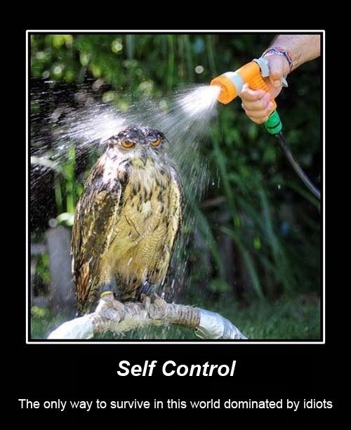 Self Control.jpg