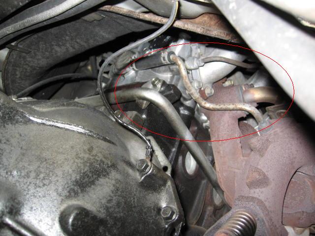 IMG_2151-circle.JPG