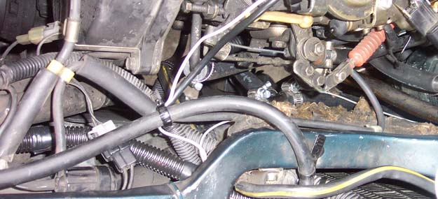 vegmax plumbing.jpg