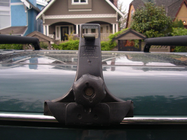 IMGP5590.JPG