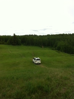 our hay field