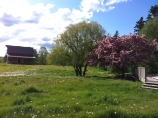 Our new farm