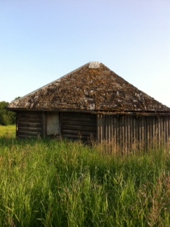 cabin 1.JPG