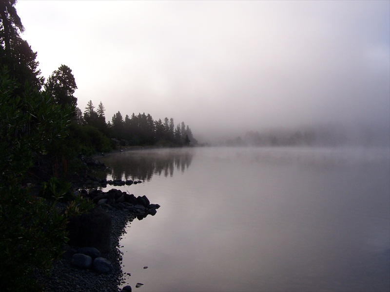 Early morning fog