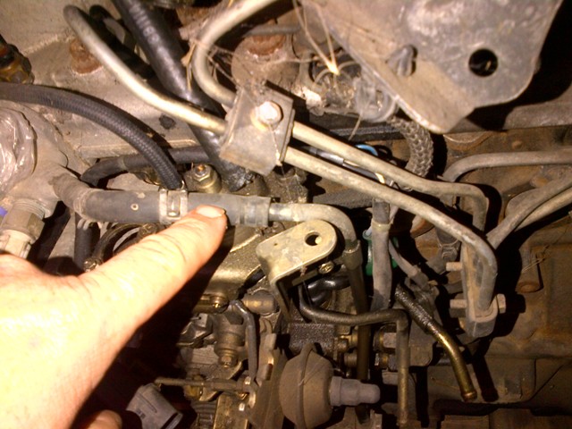 IMG-20121104-00078.jpg