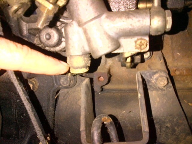 IMG-20121104-00081.jpg
