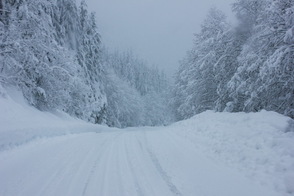 Tahsis road, no 4wd :(