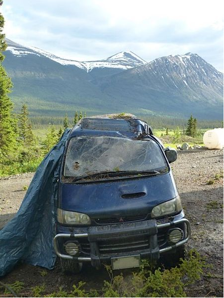 Delica with tree injury.png