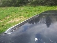 20130506_133408.jpg