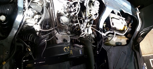 20130614_181147_resized.jpg