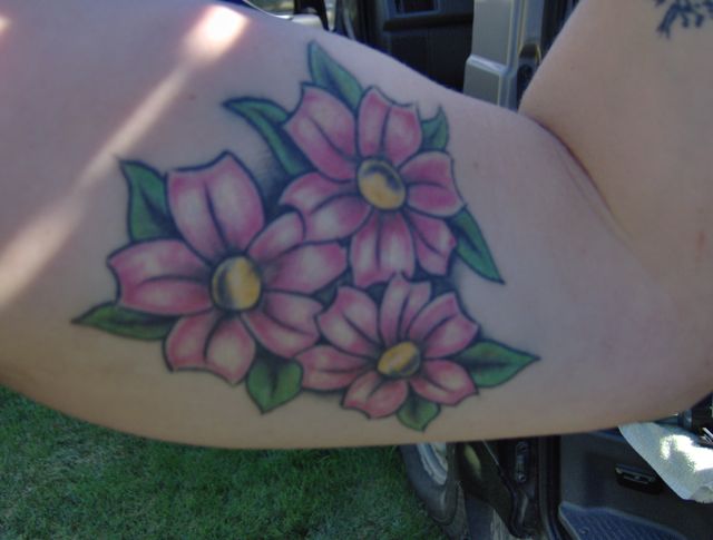 bus tat2.jpg