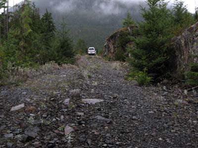 Logging road west of Tahsis