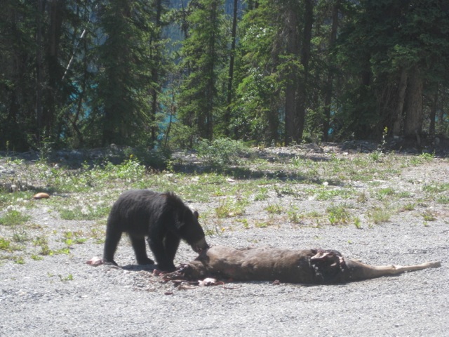 Alaska 7.jpg