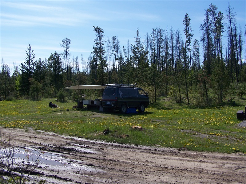 Site looking S East