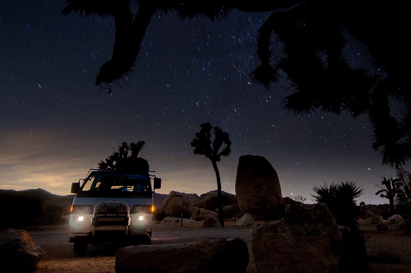 Joshua Tree