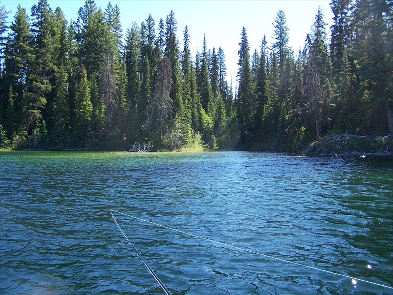 Typical small bay