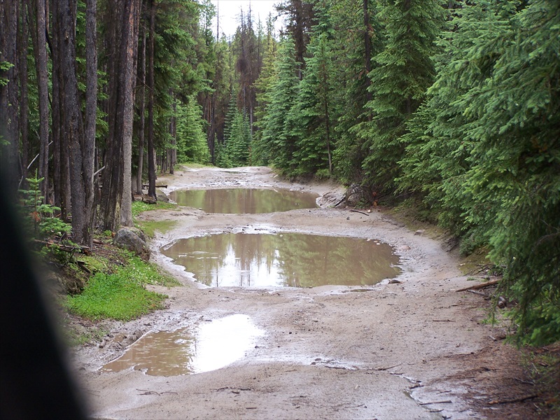 A few small puddles may greet you on the way in.