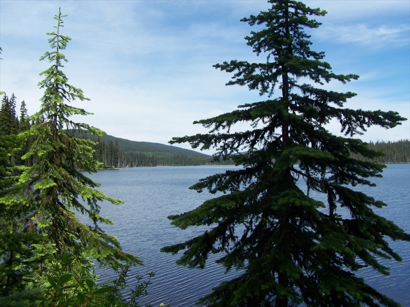 Lake view North