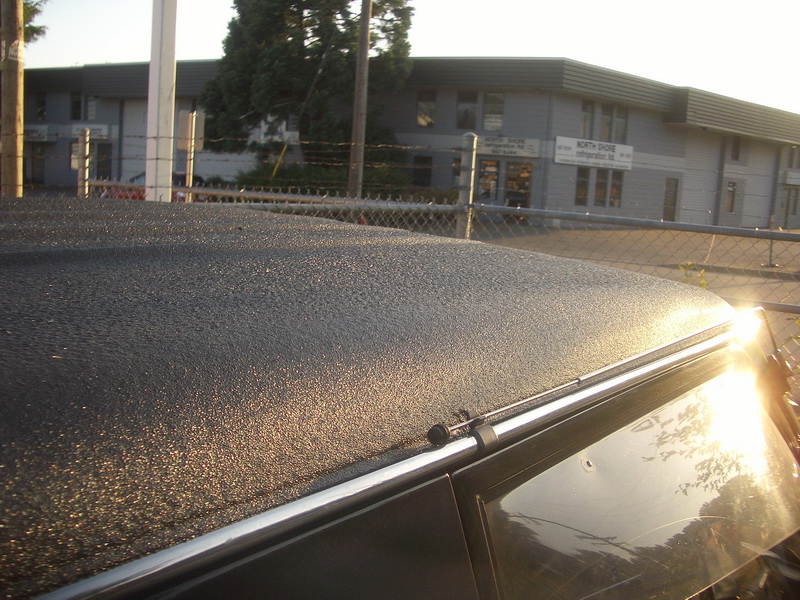 IMGP3820_resize.JPG