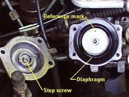 diaphragm.jpeg