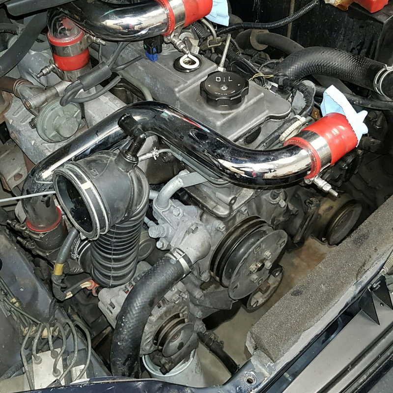 aviary_1462156201681.jpg