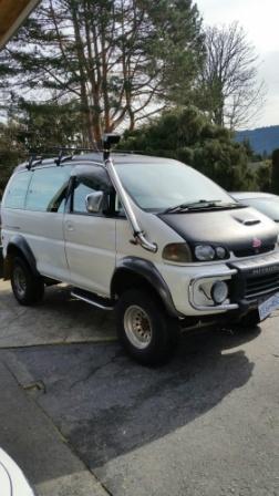 delica web size.jpg