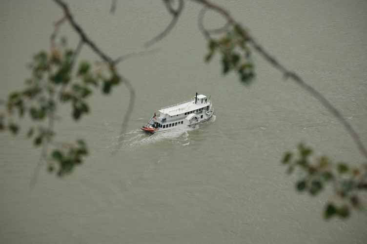 Paddlewheeler3118.jpg