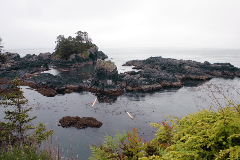 Wild Pacific Trail, Ucluelet. Vancouver Island.