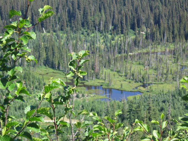 A view over the valley from our window (dumb camera focused on the wrong object)