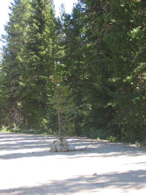 Someone decided to &quot;plant&quot; this in the middle of the road.