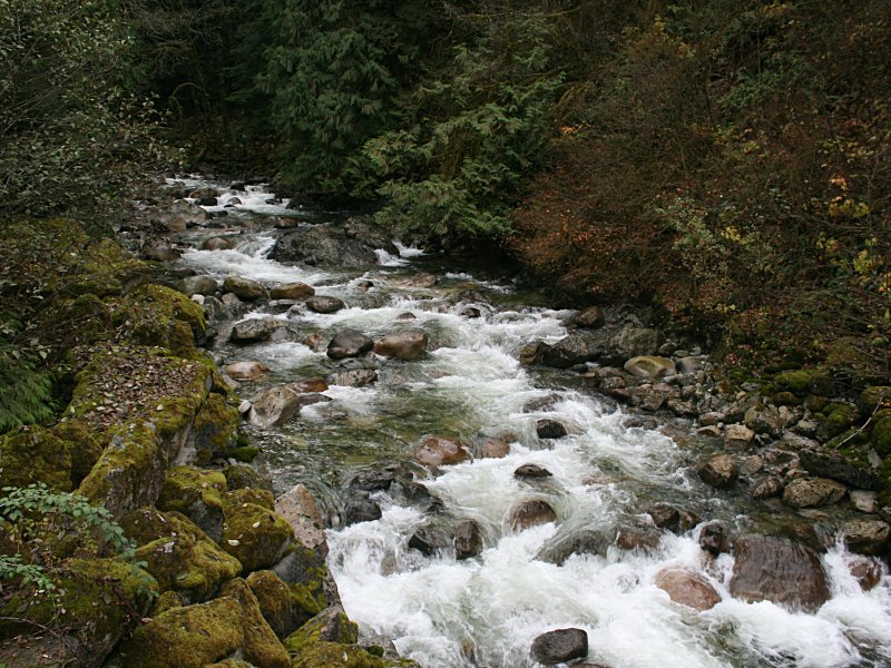 The Stawamus River.