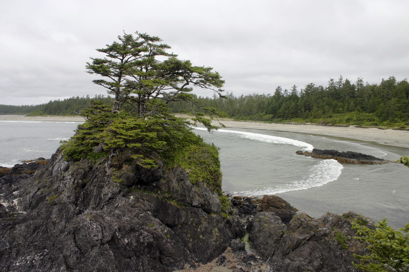 Long Beach. Pacific Rim NP. Vancouver Island.
