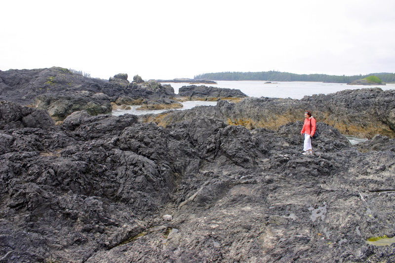 Pacific Rim NP. Vancouver Island.