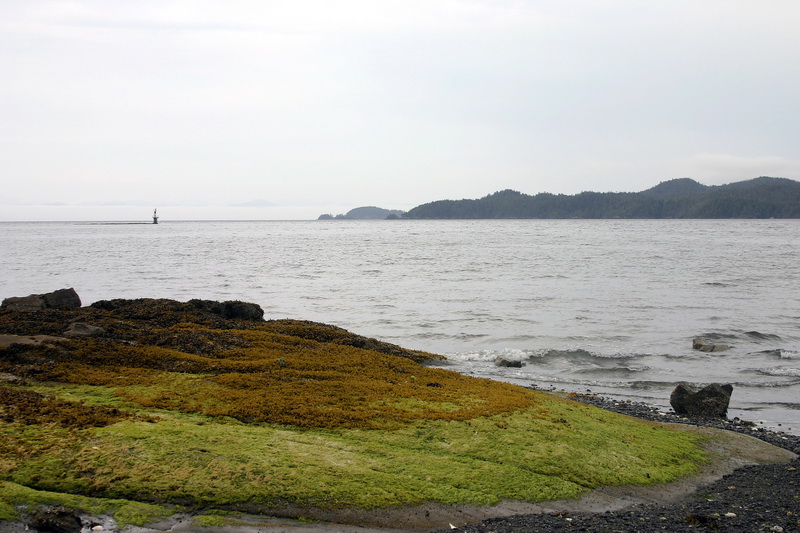 Port Hardy Bay. Vancouver Island.