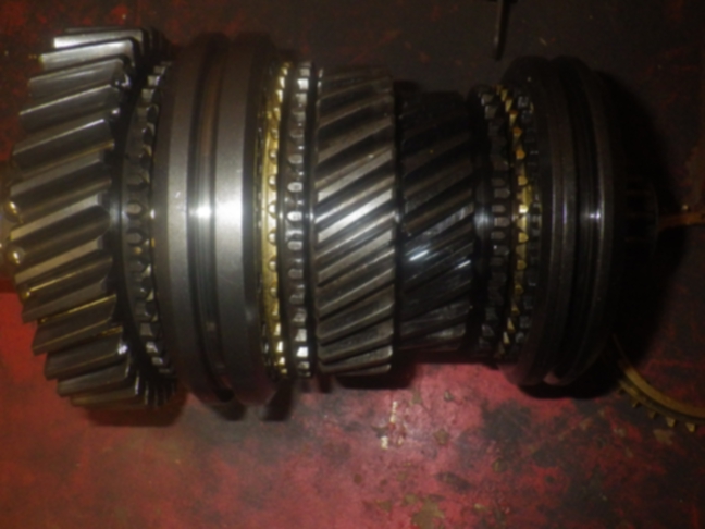 IMGP4211s.JPG